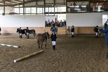 Bild 98 - Pony Akademie Turnier